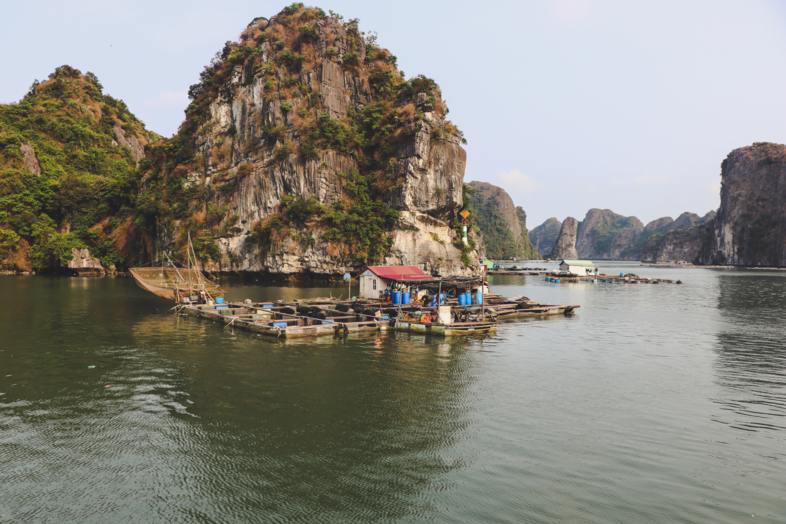 Country Vietnam