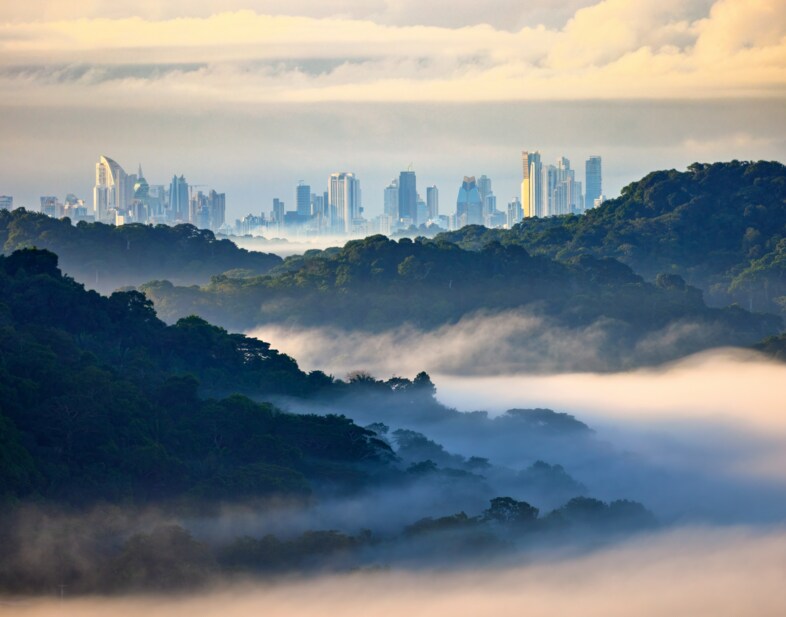 Panama Bild
