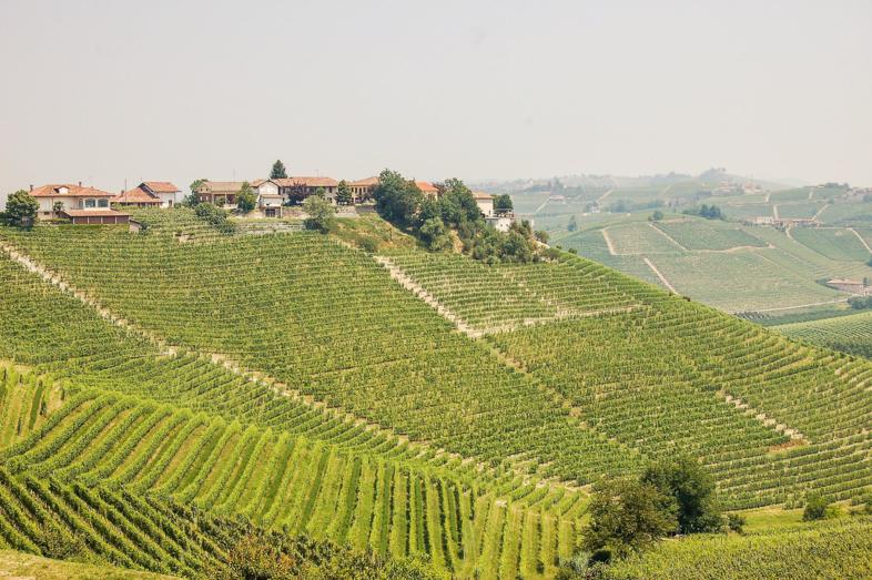 Upper region Piemont