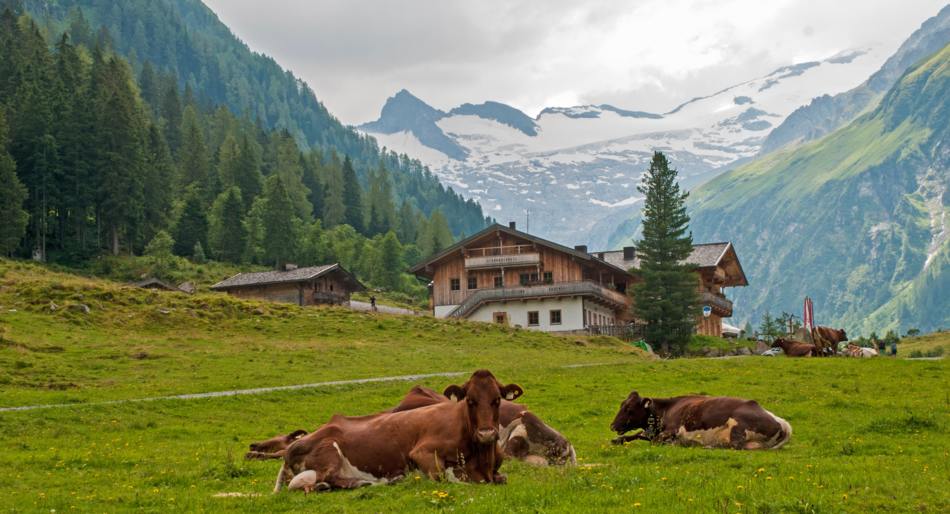 Upper region Tirol