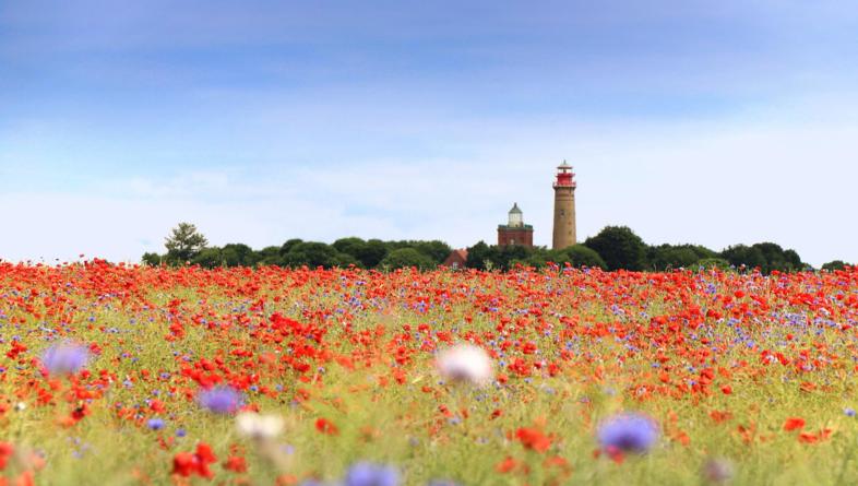 Subregion Ostsee