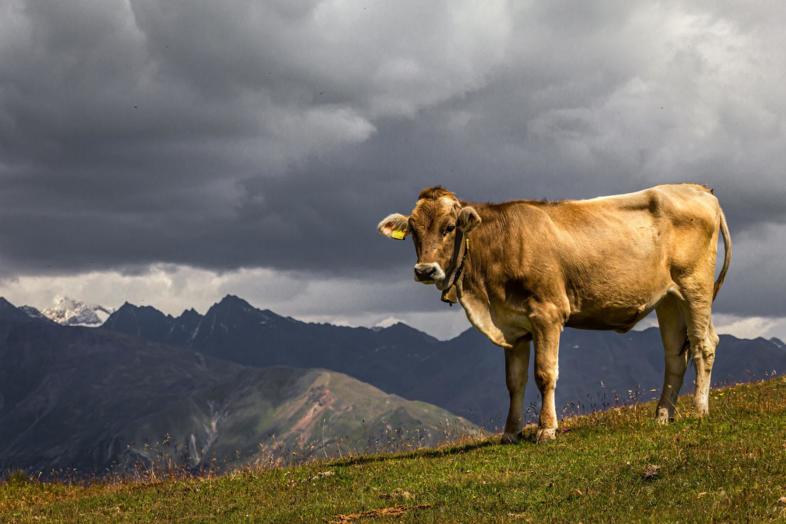 Subregion Allgäu
