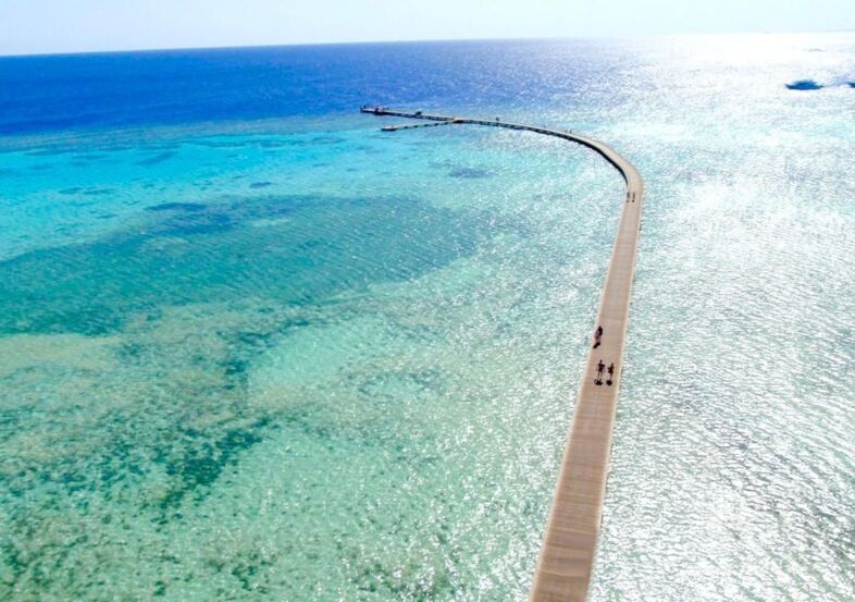 Subregion Soma Bay