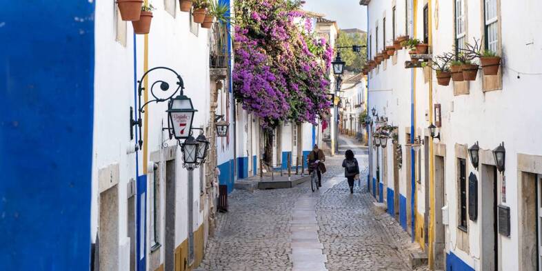 Subregion Obidos