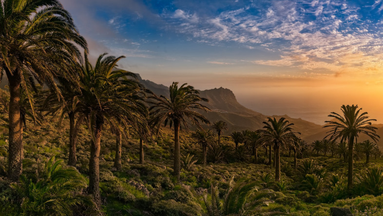 Subregion La Gomera